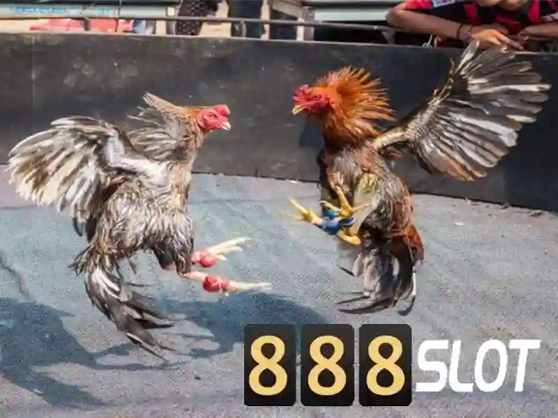 Tag slot - ca 1 Đăng Nhập