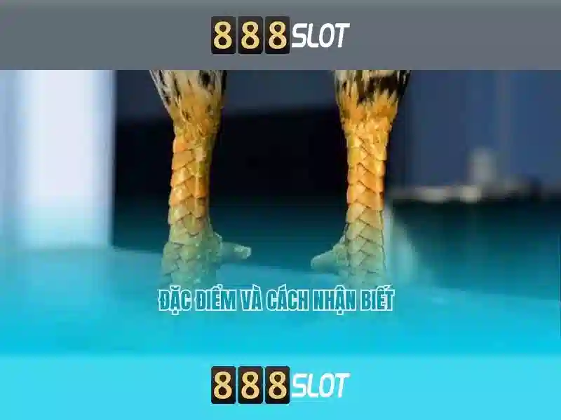 Đăng Nhập