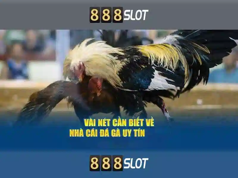 billion 888 slot – Tổng quan và giá trị cốt lõi billion 888 slot – Tổng quan và giá trị cốt lõi