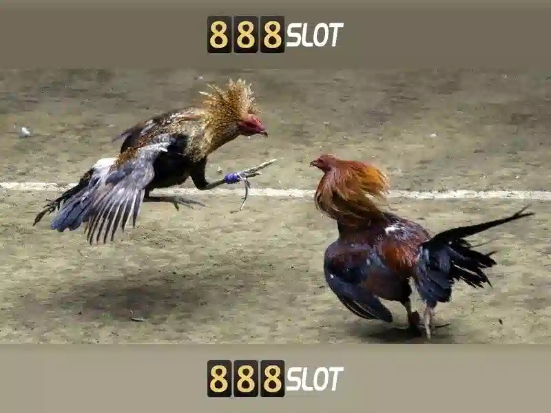 zeus 888 slot – Nhãn tag trong tin tức cược Việt Nam 1 Đăng Nhập