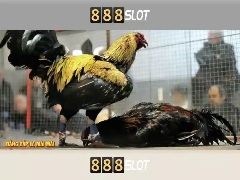 Sản phẩm và dịch vụ cốt lõi của 888 slot.