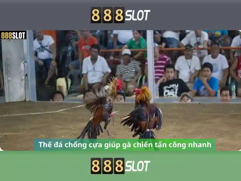 888slot là nền tảng slot trực tuyến đa dạng