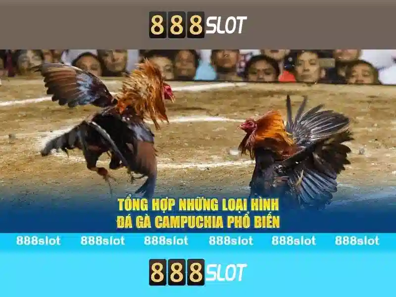 888slot: Đánh giá và những điều cần biết 1 Đăng Nhập