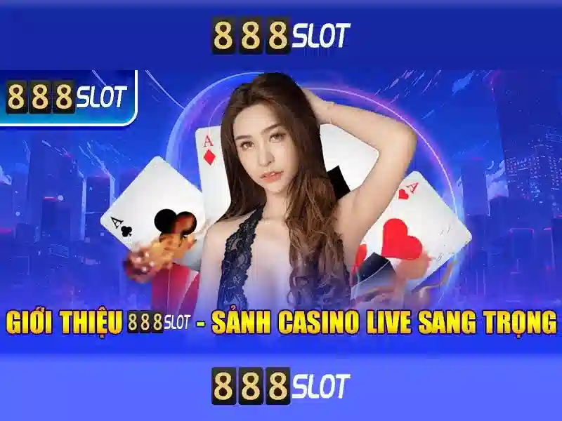 Hỗ trợ và cộng đồng