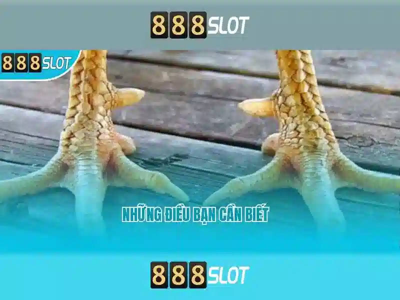 Các trò chơi tại 888slot Các trò chơi tại 888slot