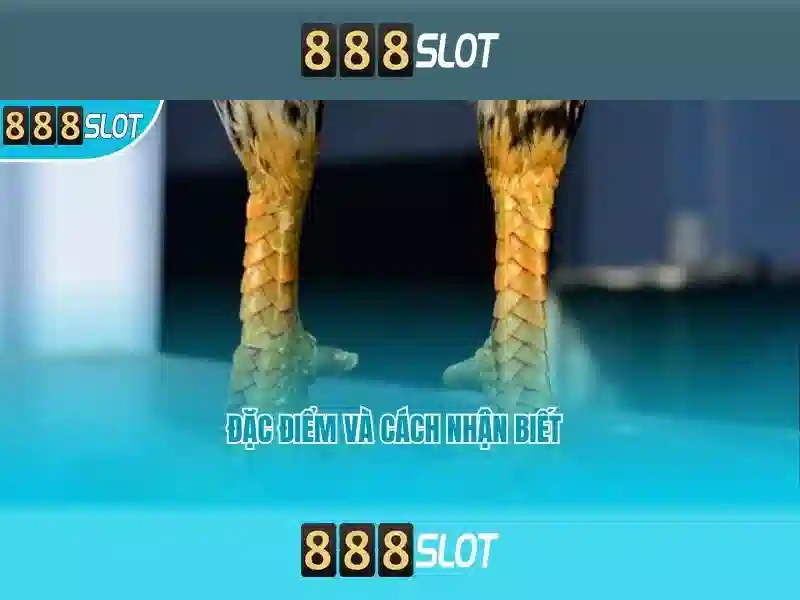 Đăng Nhập