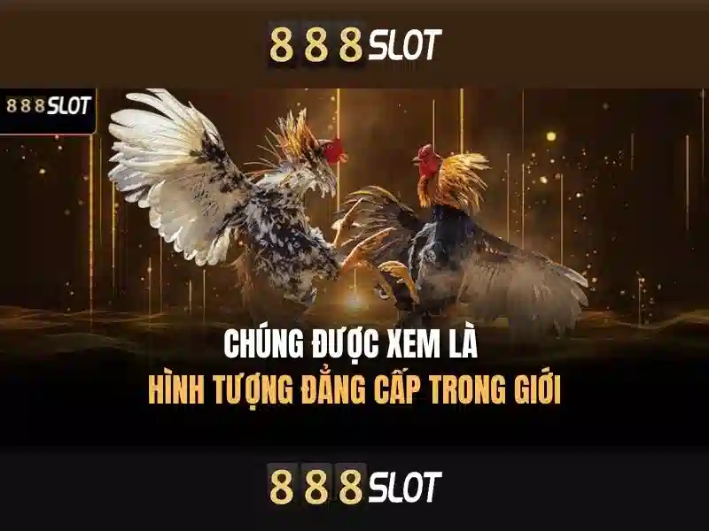 Soi kèo hiệp 1