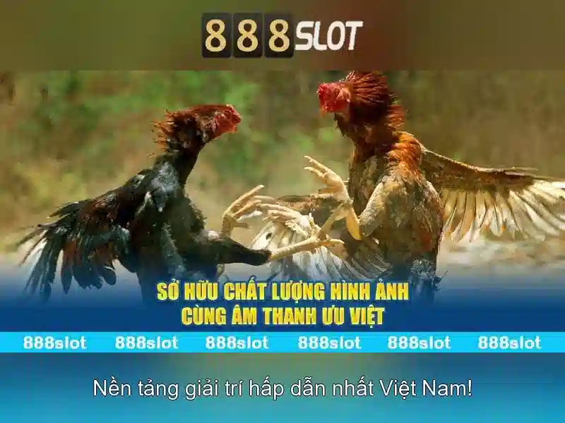 An toàn và thanh toán nhanh chóng