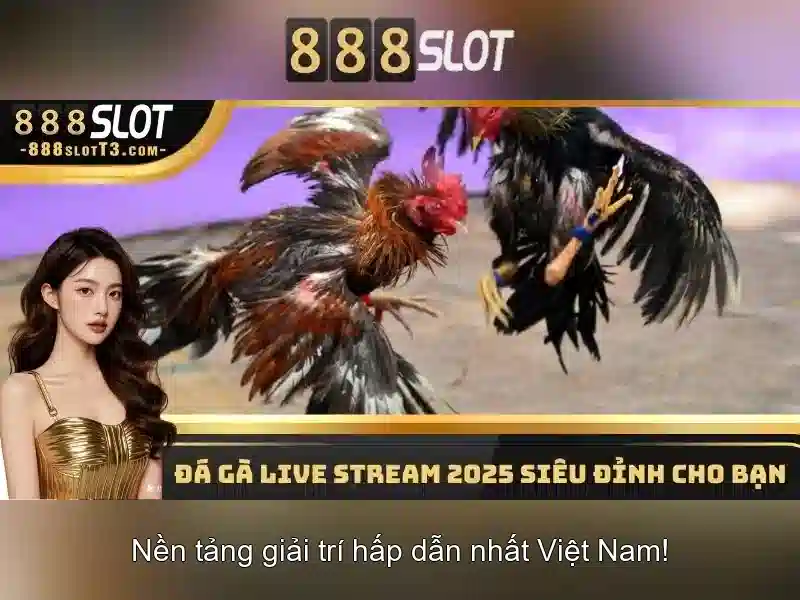 Tính năng và tiện ích
