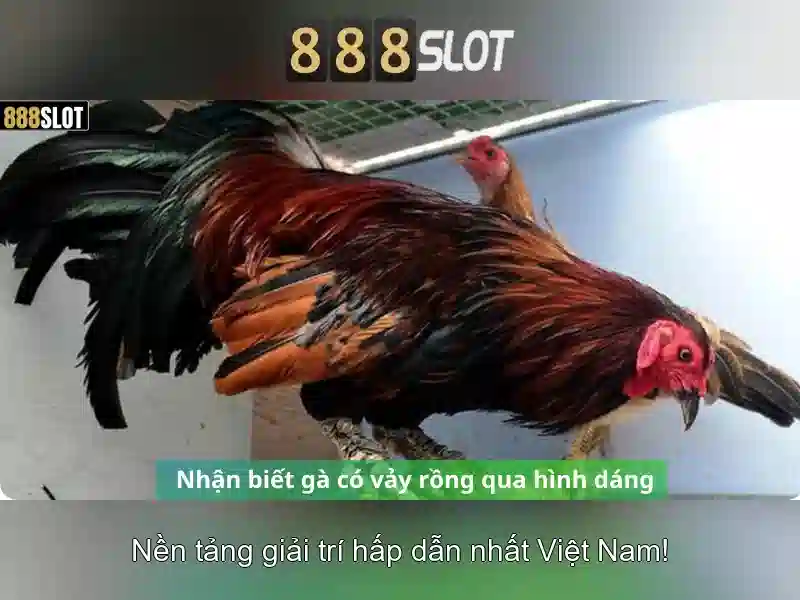 Trò chơi và trải nghiệm