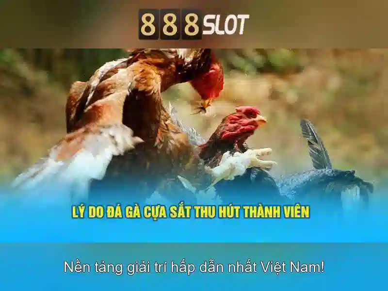 Tổng quan chủ đề và giá trị cốt lõi