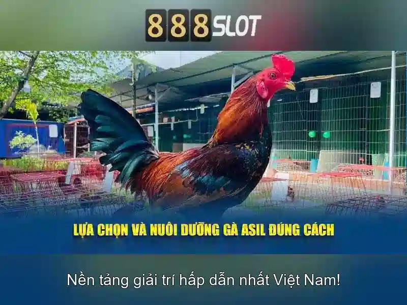 Đăng Nhập
