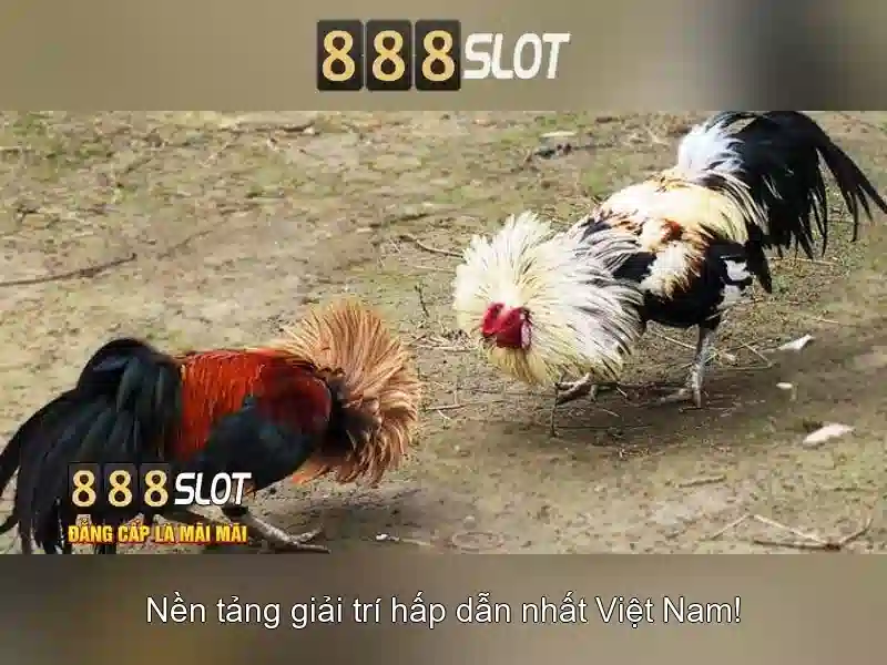 Soi kèo hiệp 1
