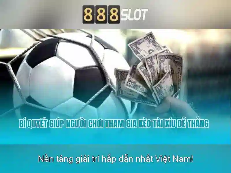 Trải nghiệm người dùng và đánh giá