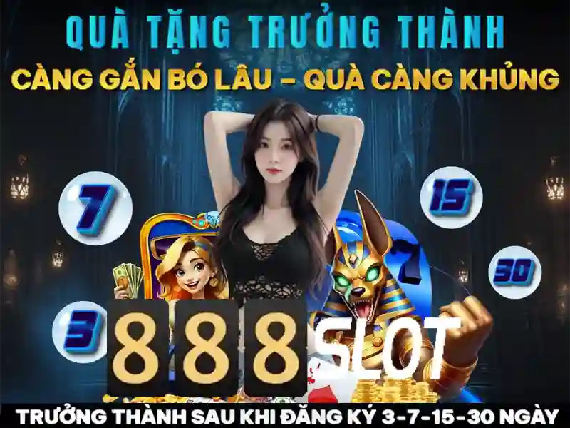 Hỗ trợ khách hàng 24/7 và ngôn ngữ